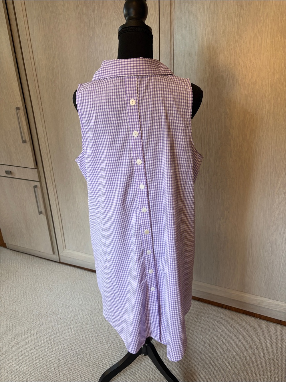 Sleeveless Lavender Gingham Button-Front Dress with Collar - Picture 3 of 3